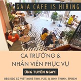 Cần tuyển phục vụ cho Gaia Cafe